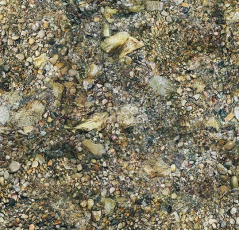 Ковролин ForboFlotex Vision Image 000368 Riverbed фото 1 | FLOORDEALER